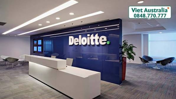 2. Công Ty TNHH Deloitte Việt Nam